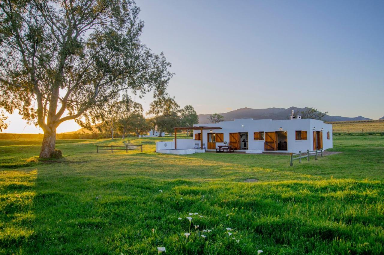 Denneboom Vineyards And Wildlife Apartment พาร์ล ภายนอก รูปภาพ