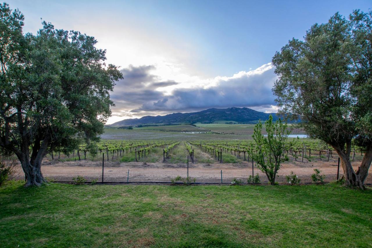 Denneboom Vineyards And Wildlife Apartment พาร์ล ภายนอก รูปภาพ